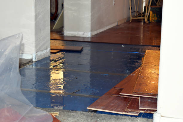 Professional Sewage Cleanup technician working in Canton, MA