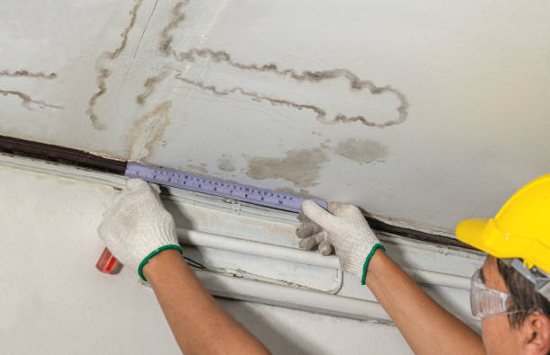 Reliable Sewage Cleanup contractor in Canton, MA by Water Damage Irwin